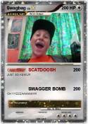 Swagbag