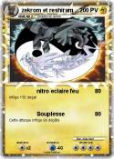 zekrom et reshi