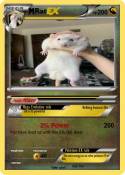 Rat