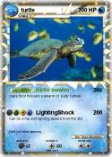 turtle