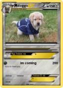 doggo