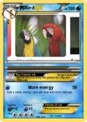 Bird