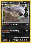 Karate Koala