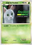 Chat de FeuVert