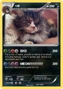 cat