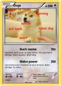Doge