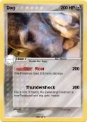 Dog