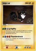 ninja cat