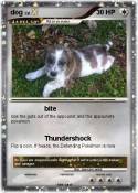 dog