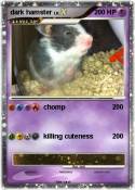 dark hamster