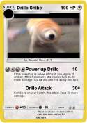 Drillo Shibe