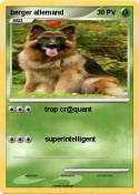 berger allemand
