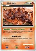 Bébé tigre