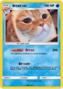 Bread cat