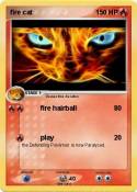 fire cat