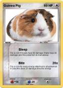 Guinea Pig