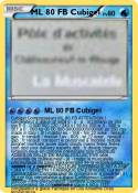 ML 80 FB Cubige