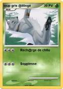 loup gris
