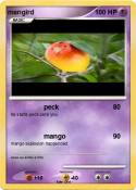 mangird