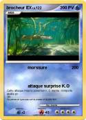 brocheur EX