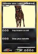 rottweiler sims