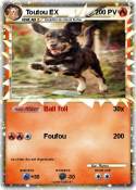 Toutou EX