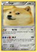 Doge