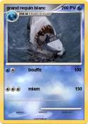 grand requin