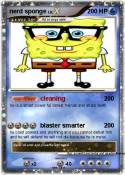 nerd sponge