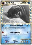 CUTE PUG