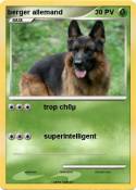 berger allemand