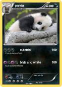 panda