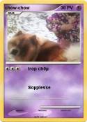 chow-chow