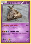 Gypsy moth