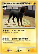 beauceron