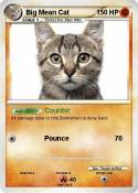 Big Mean Cat