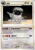 pug