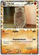 Fat Cat