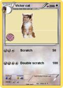 Victor cat