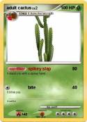 adult cactus
