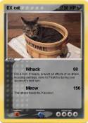 EX cat