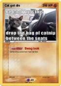 Cat got dis