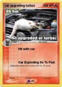 cat upgrading