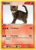 Caticlaw 2