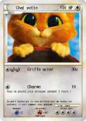 Chat potte