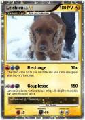 Le chien