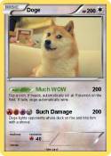Doge