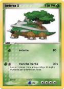 torterra X