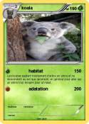 koala