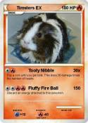 Timsters EX